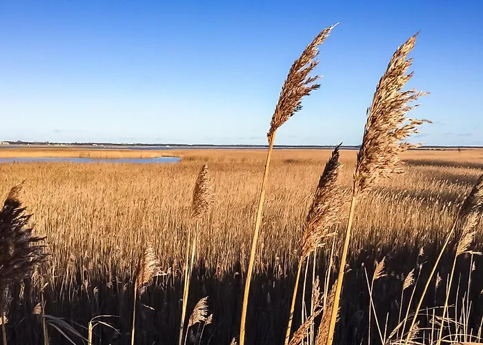 Strandidyll Διαμέρισμα Ahrenshoop